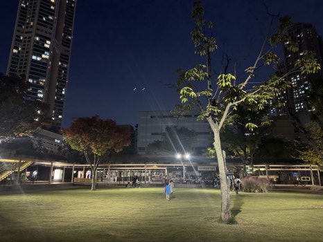 브로콜리 지역정보 관련 사진 20