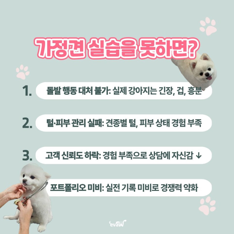 노원 애견미용학원 주말반: 직장인 위한 자격증 취득 과정 — 사진 8