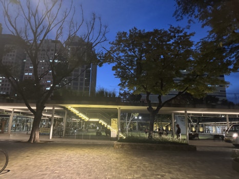 브로콜리 지역정보 관련 사진 19