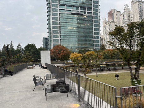 브로콜리 지역정보 관련 사진 22