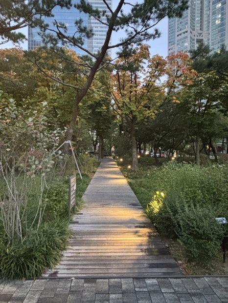 브로콜리 지역정보 관련 사진 30