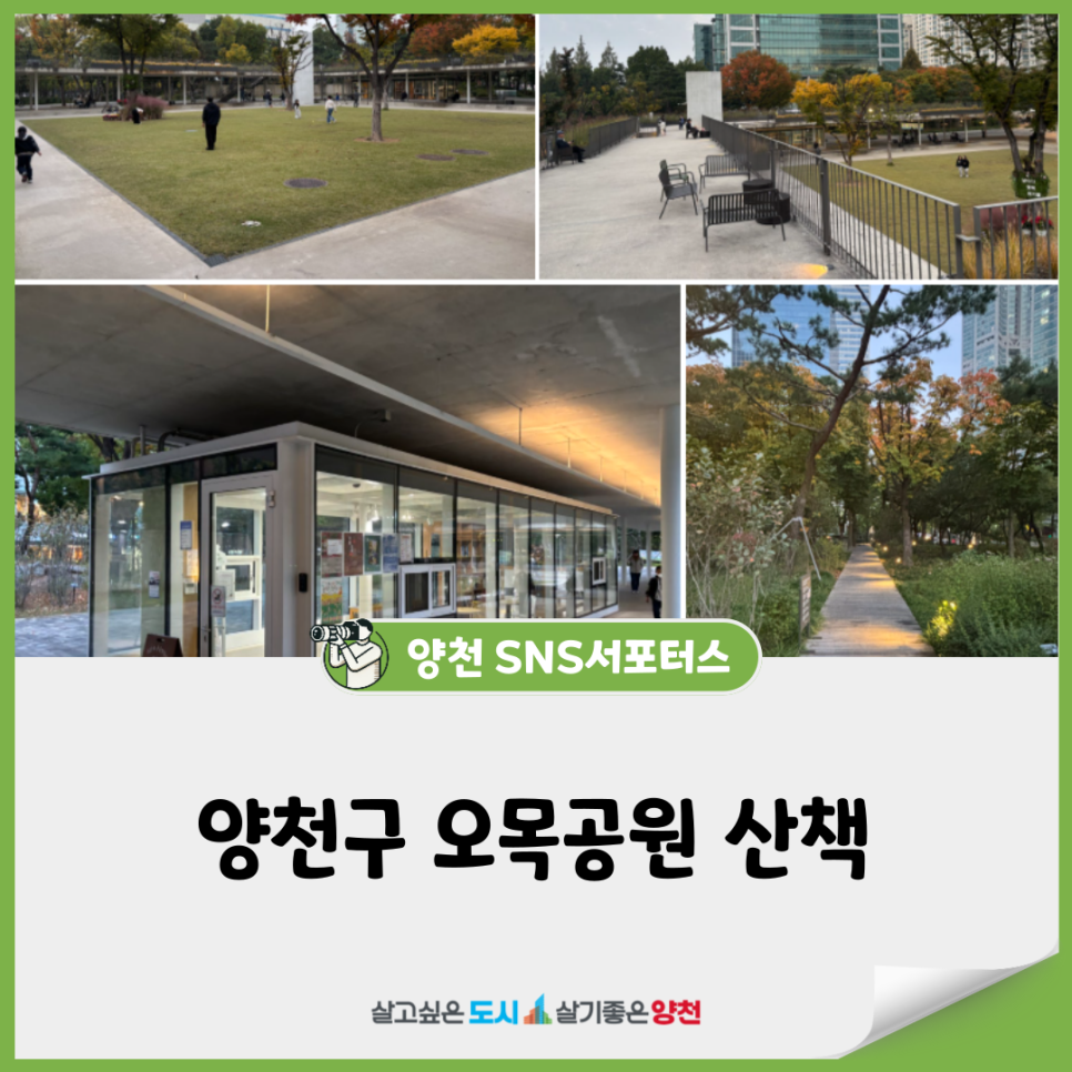 브로콜리 지역정보 관련 사진 1