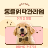 고양이 호텔·유치원 창업: 동물위탁관리업 등록 대행 전문