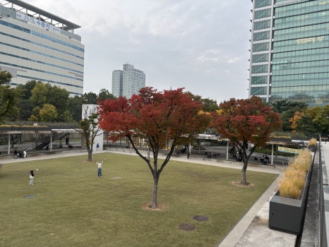 브로콜리 지역정보 관련 사진 21