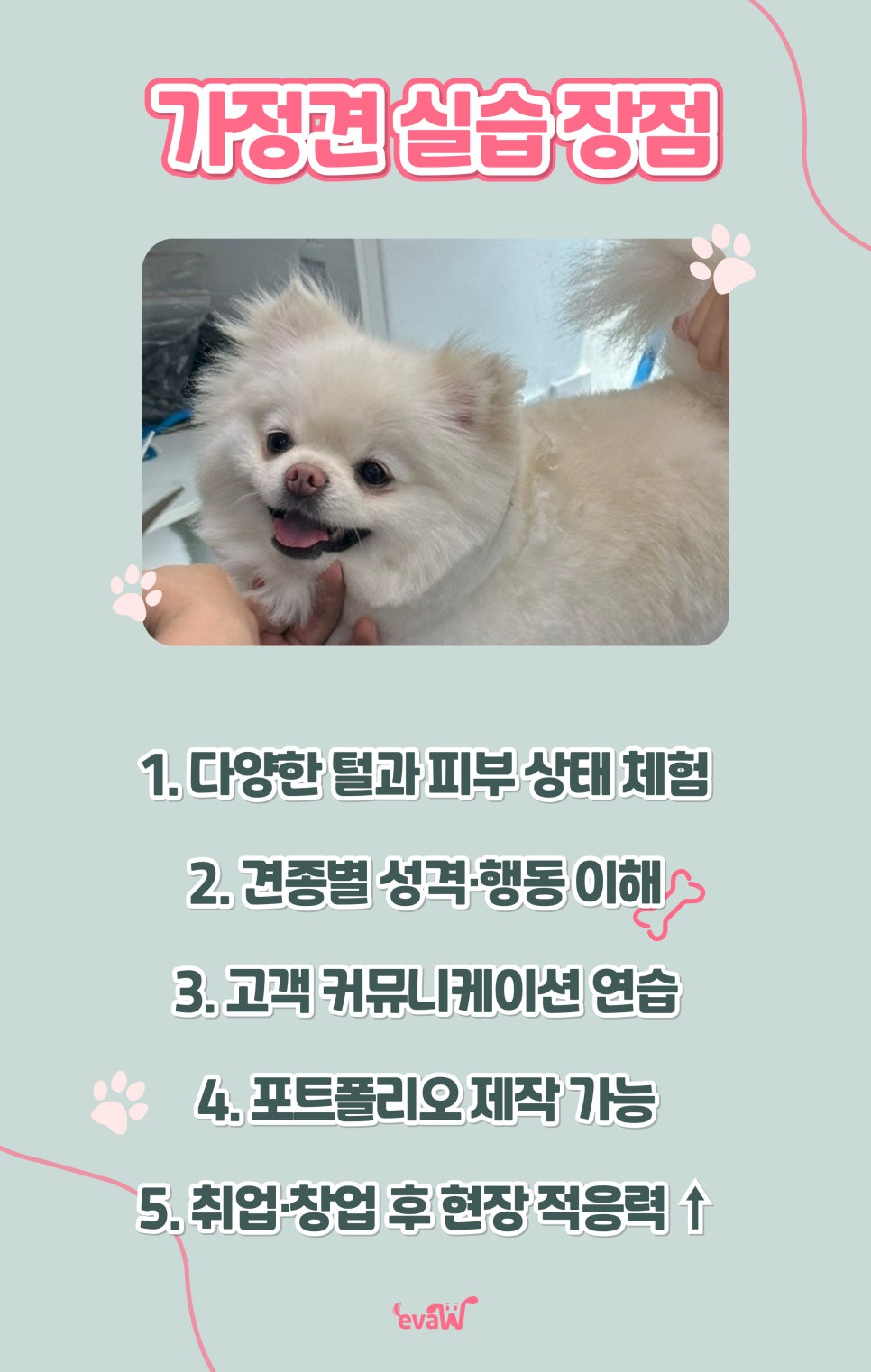 노원 애견미용학원 주말반: 직장인 위한 자격증 취득 과정 — 사진 7