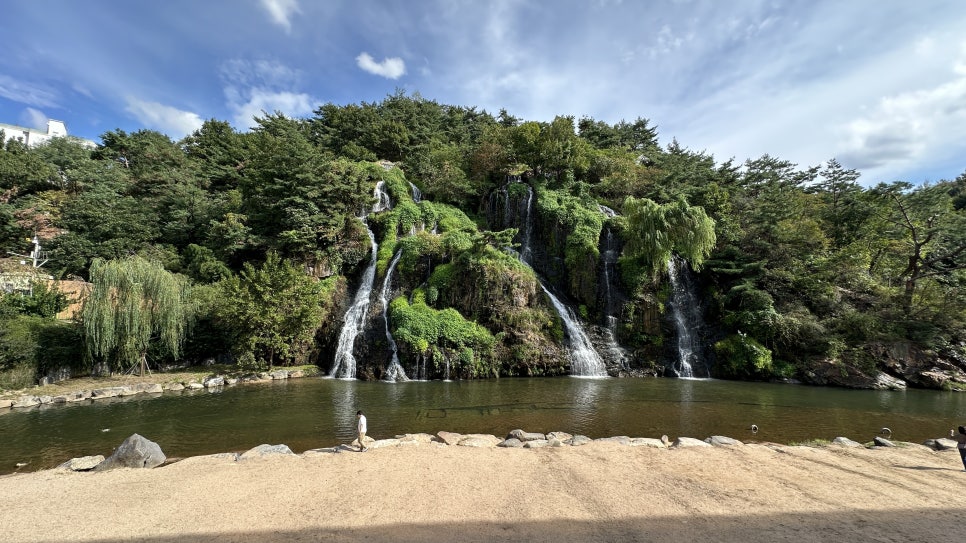브로콜리 지역정보 관련 사진 10