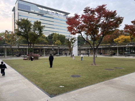 브로콜리 지역정보 관련 사진 15