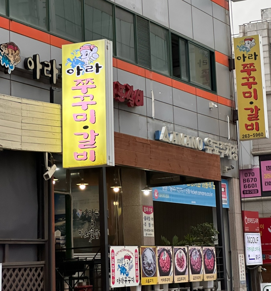 아라쭈꾸미 사진 7