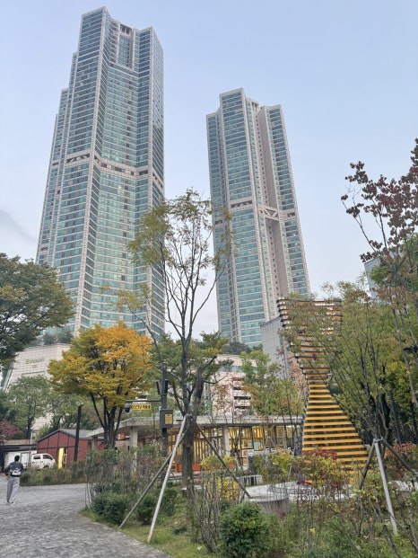 브로콜리 지역정보 관련 사진 6