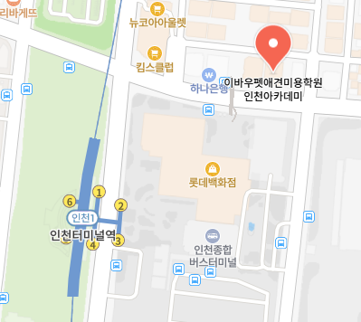 인천 애견미용학원, 수강료 50% 지원받고 전문가 되기 — 사진 4