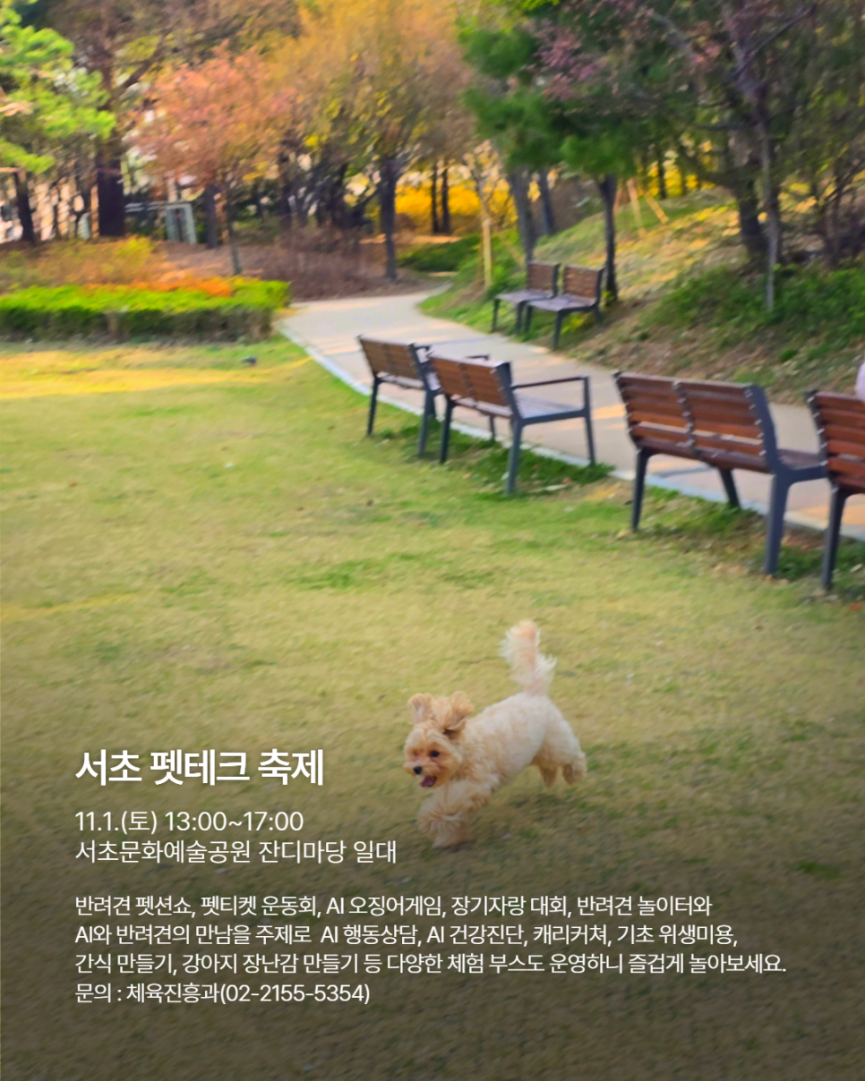 브로콜리 지역정보 관련 사진 4