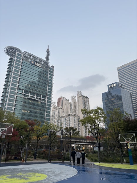 브로콜리 지역정보 관련 사진 3