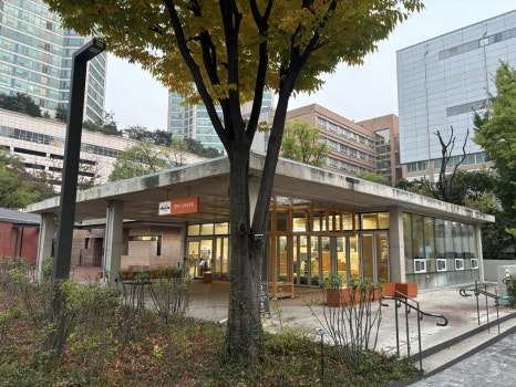 브로콜리 지역정보 관련 사진 7