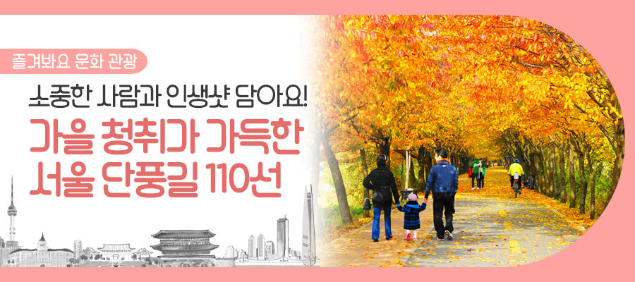 브로콜리 지역정보 관련 사진 1