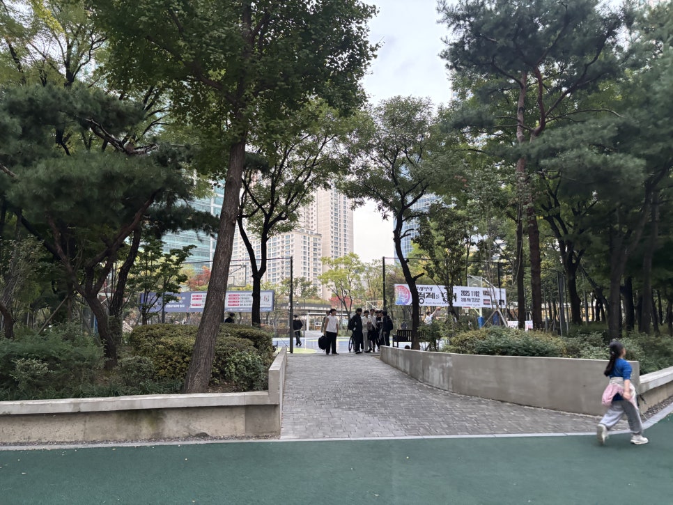 브로콜리 지역정보 관련 사진 4