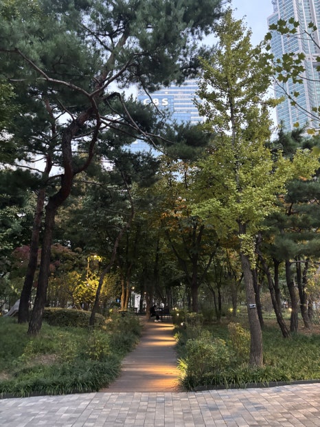 브로콜리 지역정보 관련 사진 29