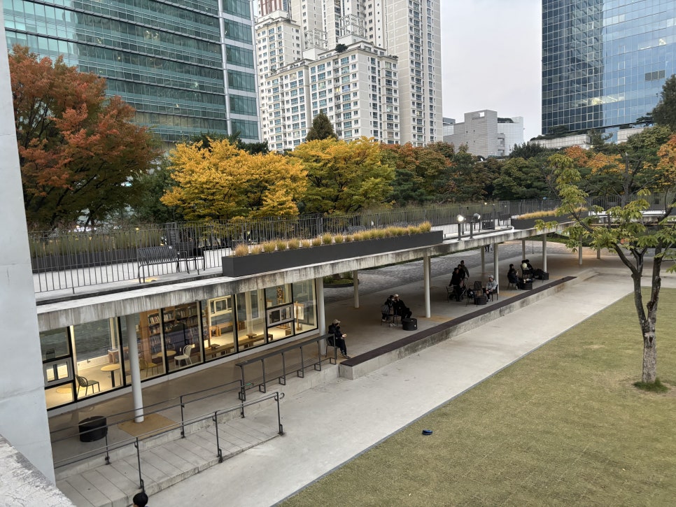 브로콜리 지역정보 관련 사진 24