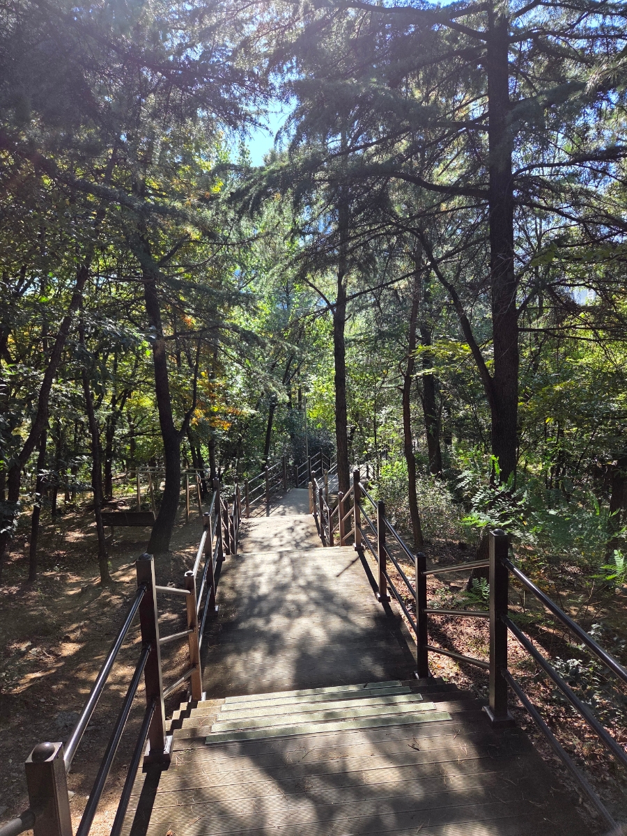 야시골공원 이미지