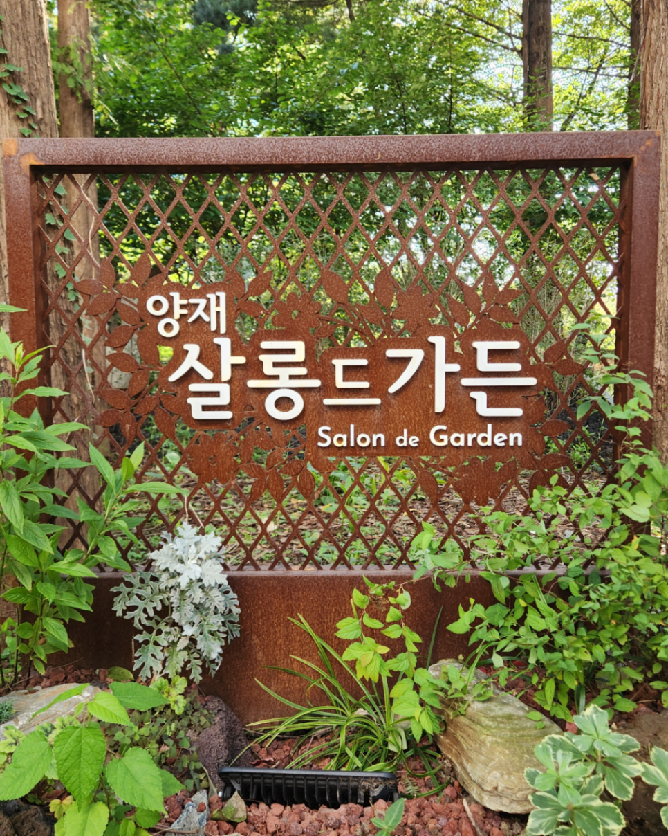 브로콜리 지역정보 관련 사진 9