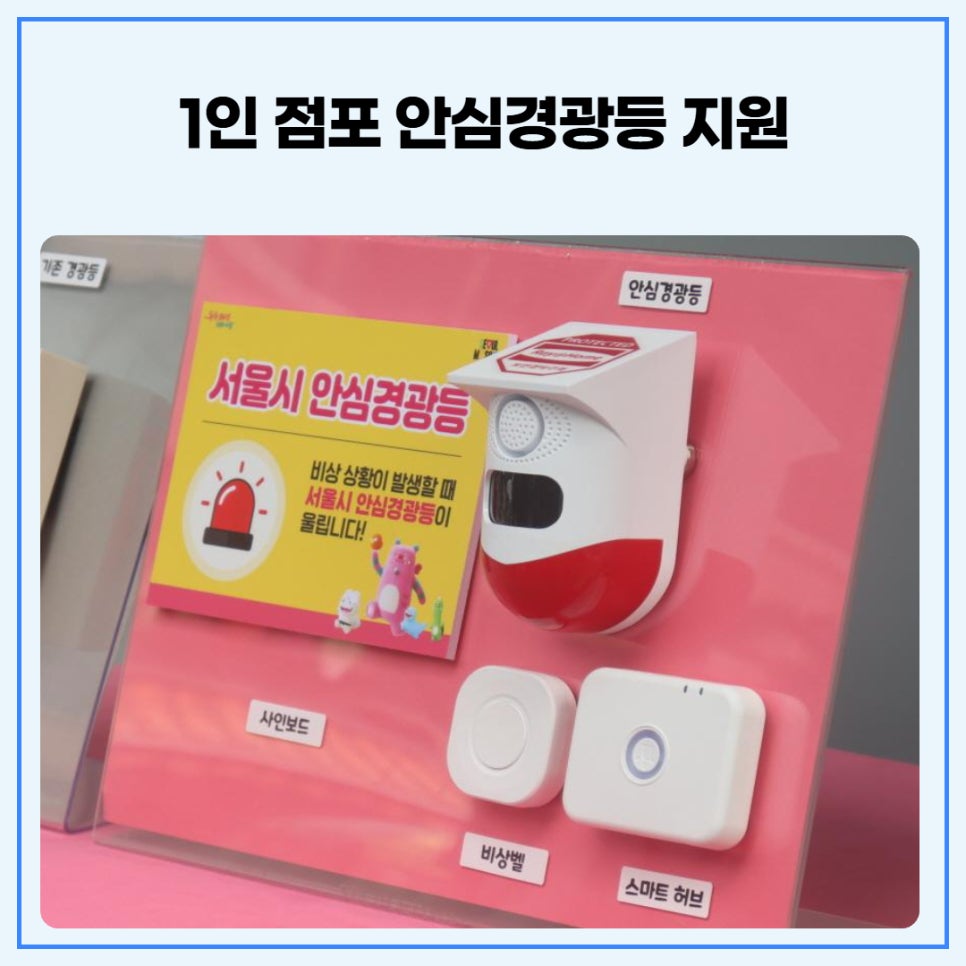 브로콜리 지역정보 관련 사진 3