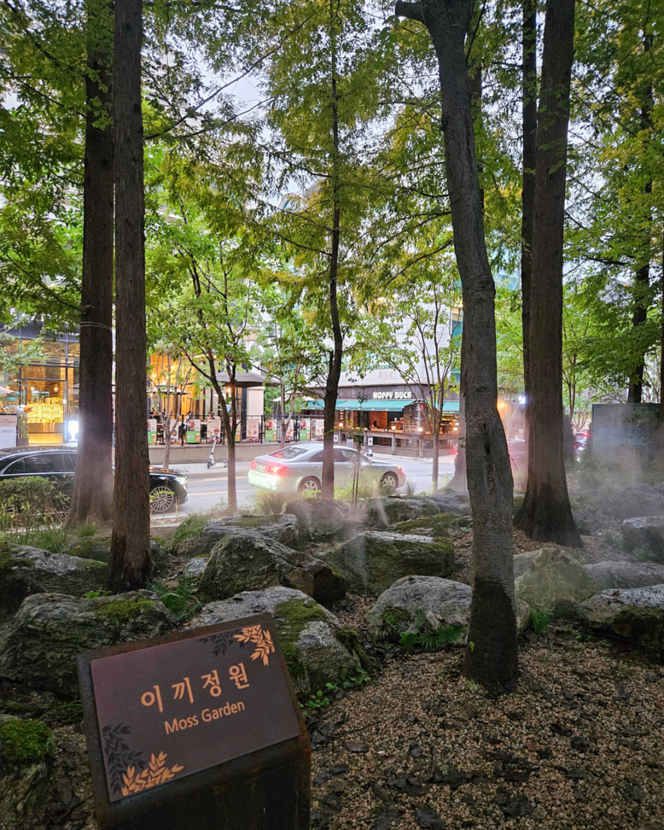 브로콜리 지역정보 관련 사진 7