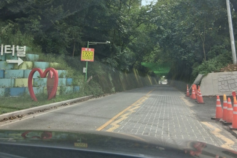 이끼터널 이미지