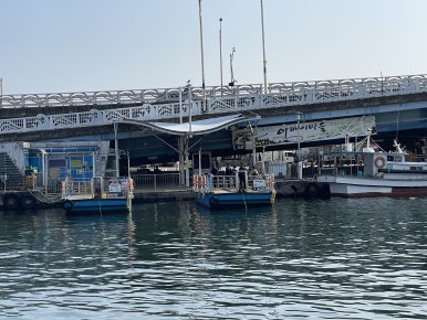 Cheongho Ferry