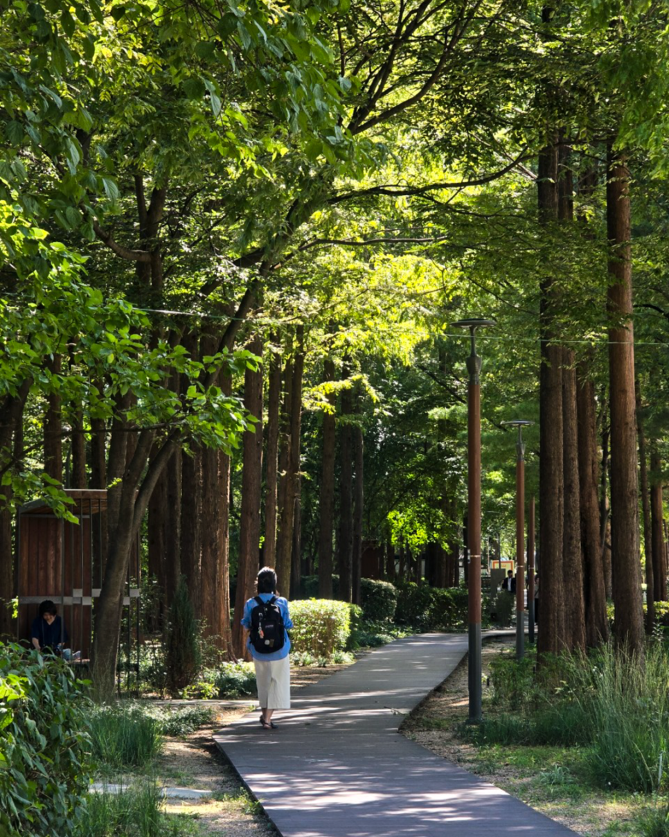 브로콜리 지역정보 관련 사진 2