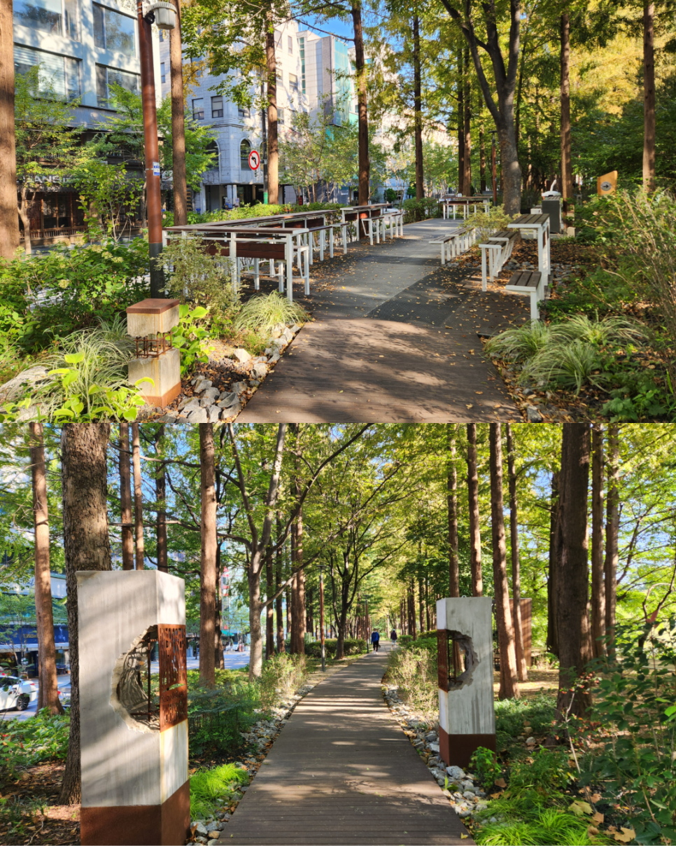 브로콜리 지역정보 관련 사진 6