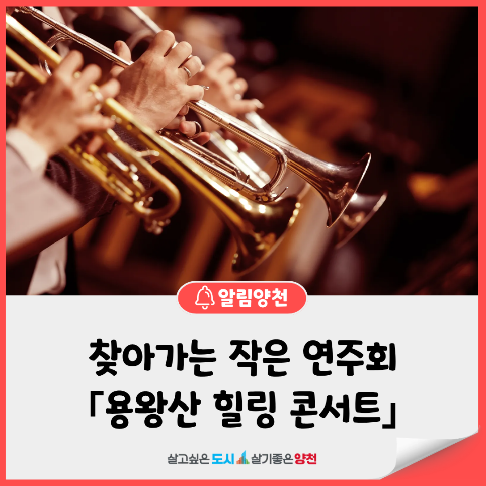 브로콜리 지역정보 관련 사진 2