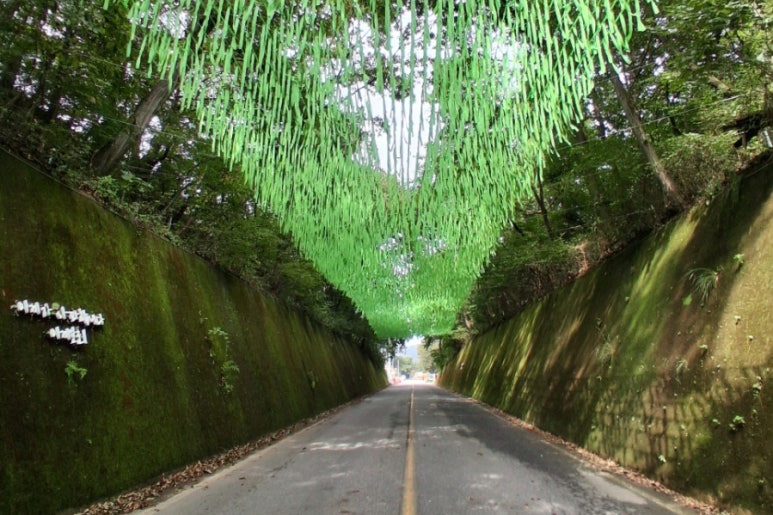 이끼터널 이미지