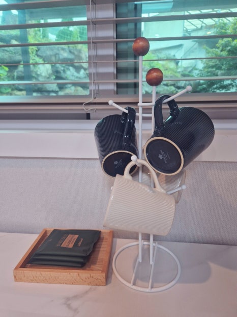 소백스테이 이미지