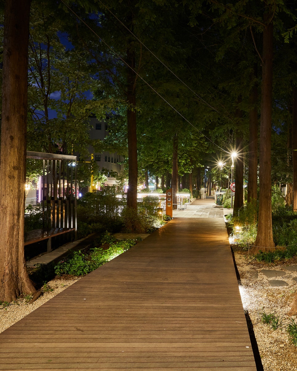 브로콜리 지역정보 관련 사진 3