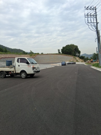 이끼터널 이미지