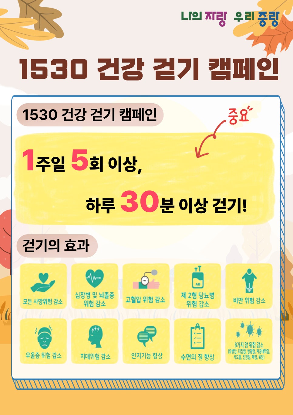 브로콜리 지역정보 관련 사진 3