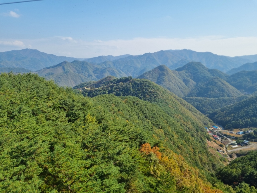소백산자연휴양림 전망대 이미지