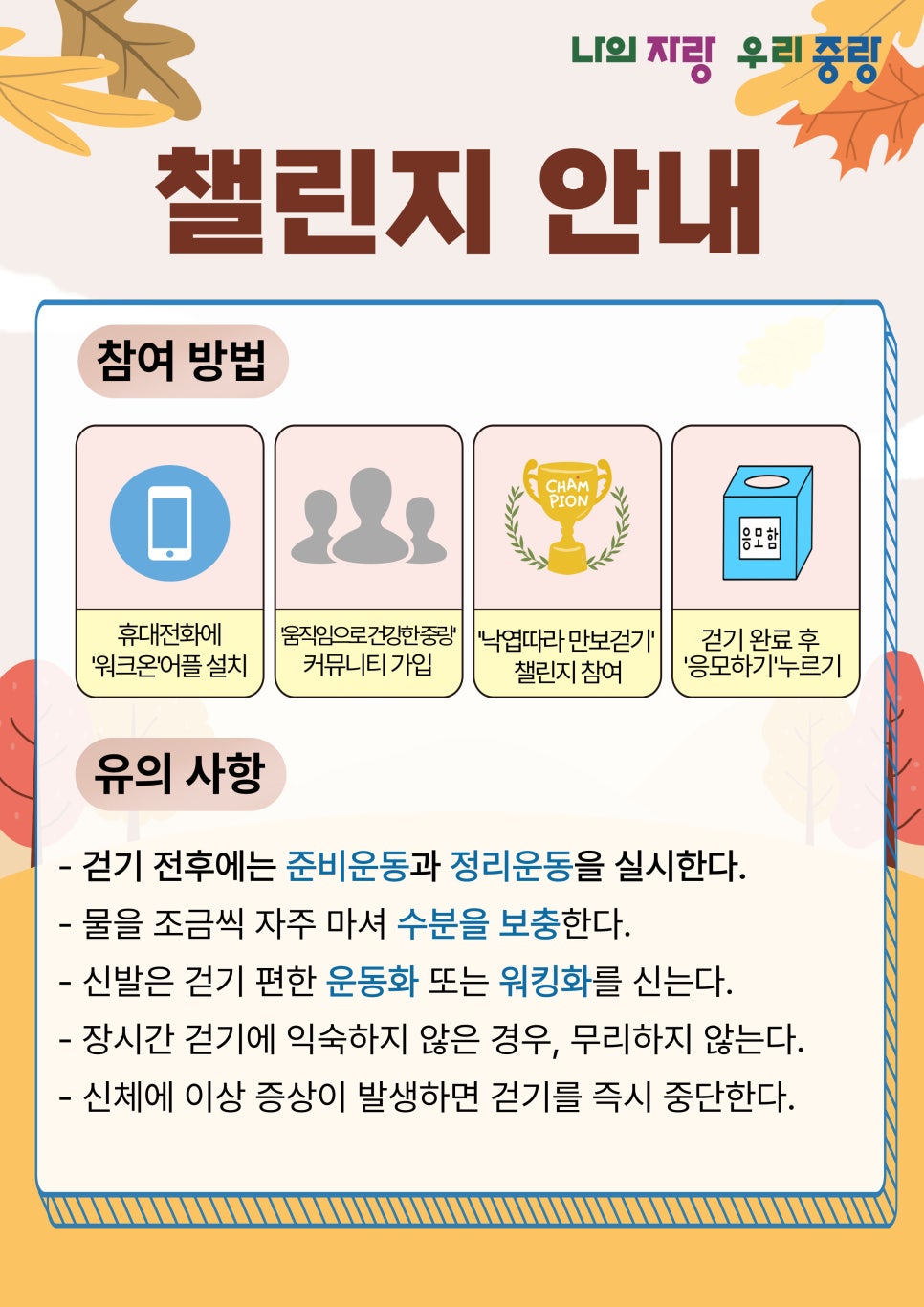 브로콜리 지역정보 관련 사진 2