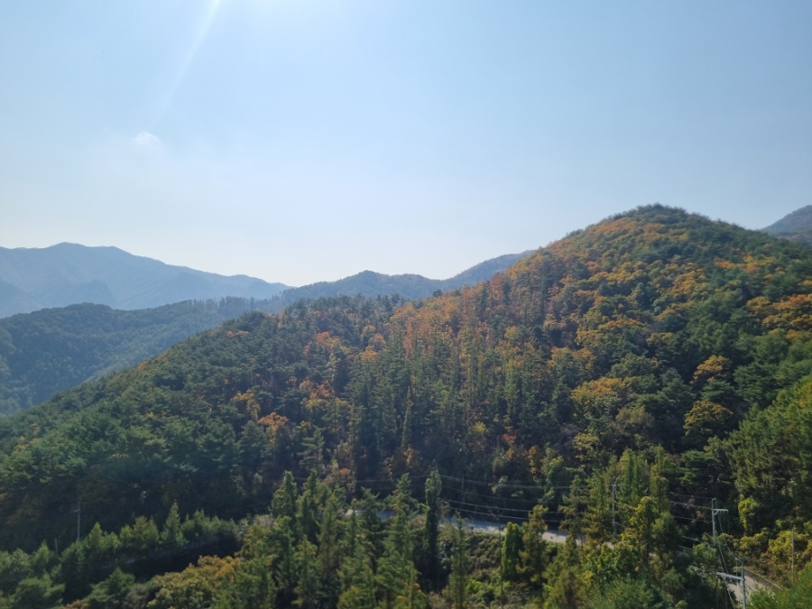 소백산자연휴양림 전망대 이미지