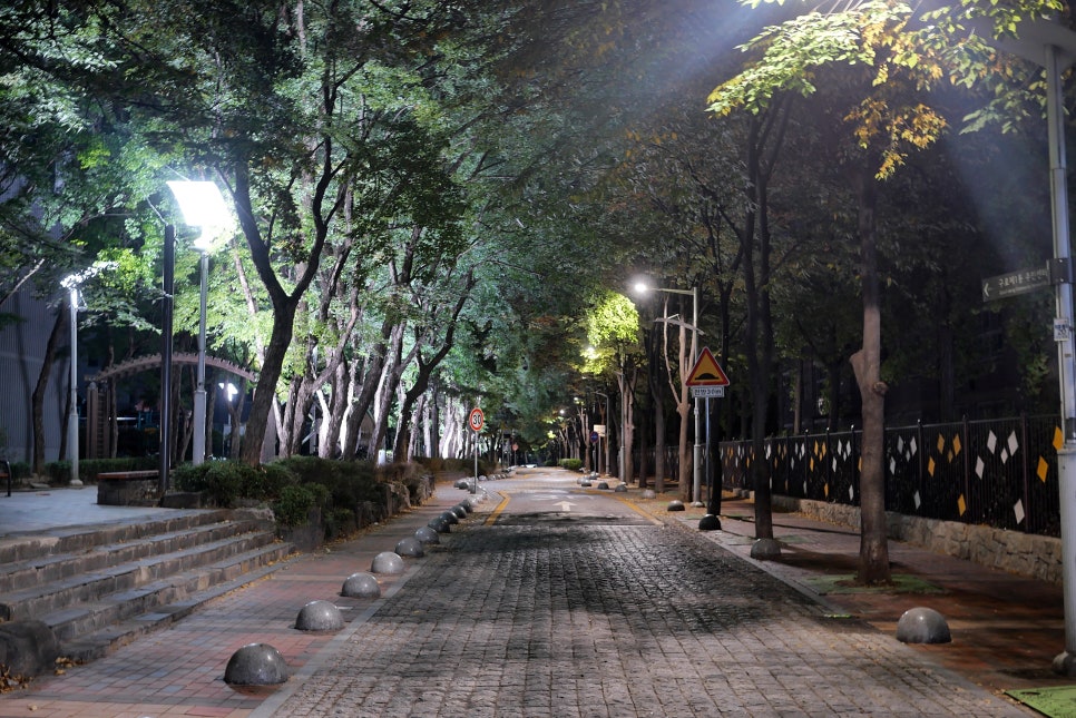고기천왕 사진 4