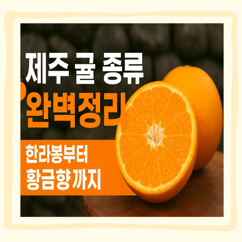 제주도 귤 종류 완벽정리! 귤 종류 이름과 품종별 특징 완벽 가이드! : 네이버 블로그