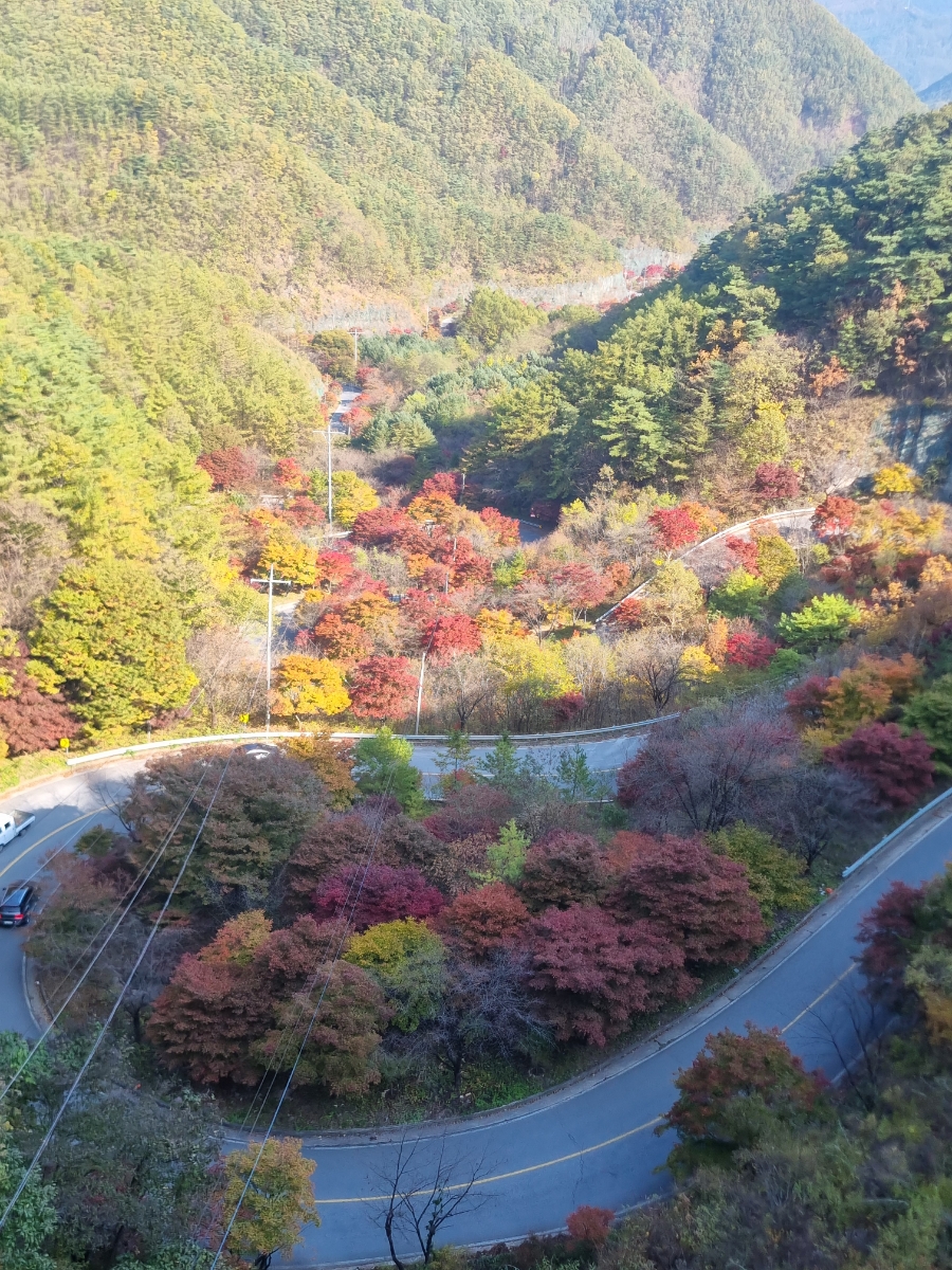 소백산자연휴양림 전망대 이미지
