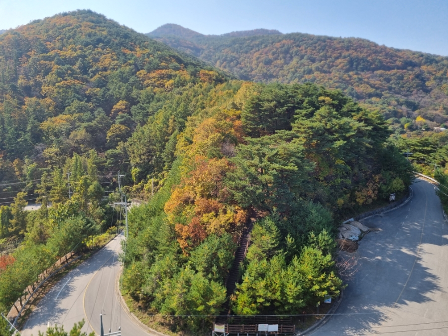 소백산자연휴양림 전망대 이미지