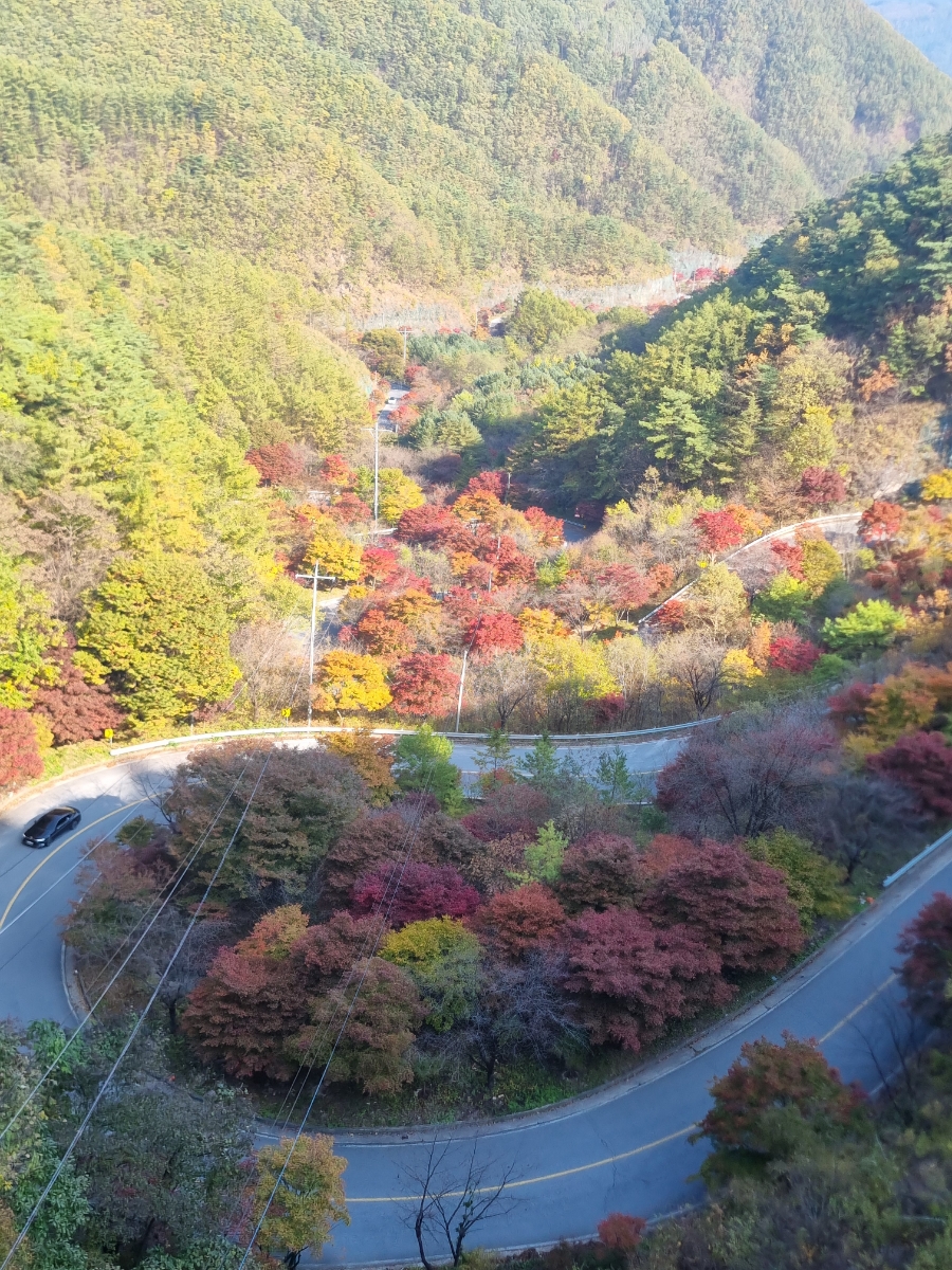 소백산자연휴양림 전망대 이미지