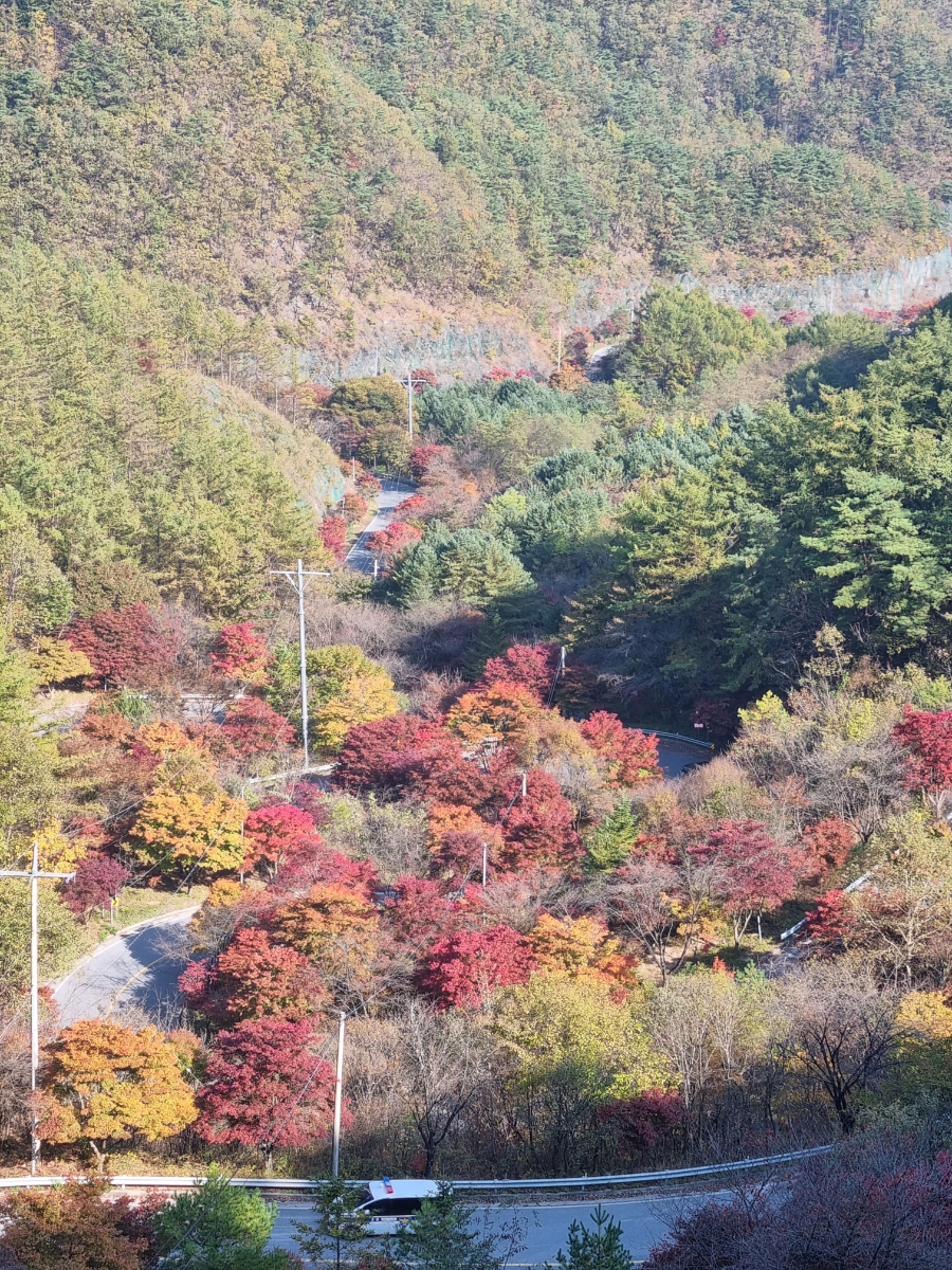 소백산자연휴양림 전망대 이미지