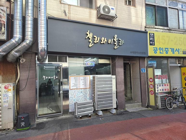 첼리와비올라 사진 3
