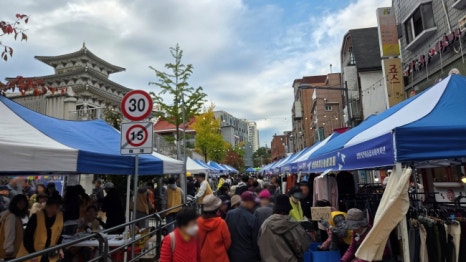 브로콜리 지역정보 관련 사진 8