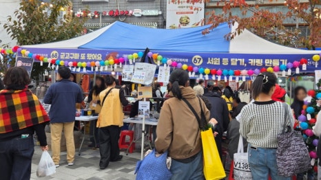 브로콜리 지역정보 관련 사진 9