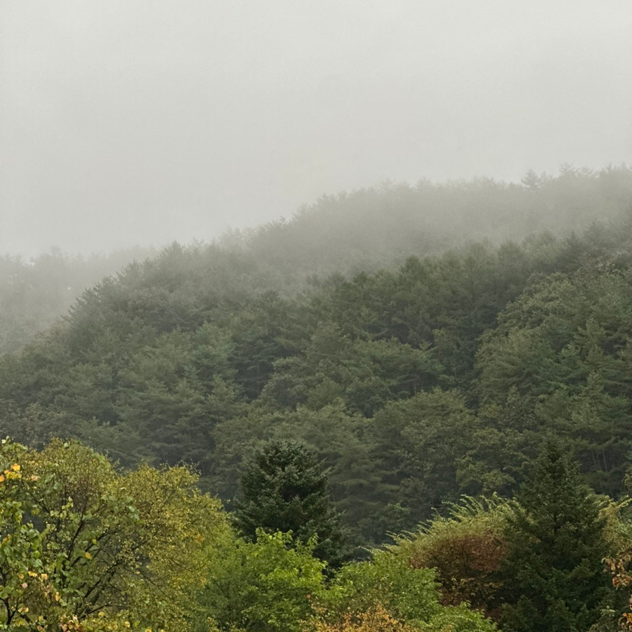 캠프우아 이미지