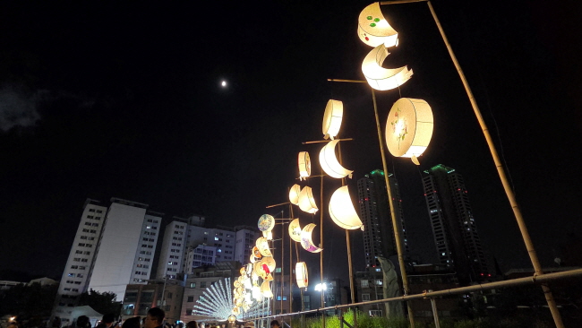 브로콜리 지역정보 관련 사진 14