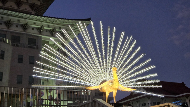 브로콜리 지역정보 관련 사진 11